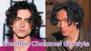 Timothée Chalamet Inspired Hairstyle Tutorial [upl. by Norm]