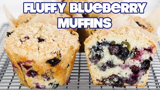 THE BEST Homemade Fresh Blueberry Muffins Recipe [upl. by Doolittle]