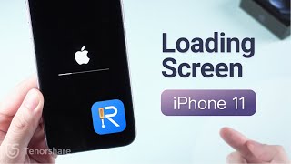 How to Fix iPhone 11 Stuck on Loading Screen with Tenorshare ReiBoot [upl. by Yelkreb]