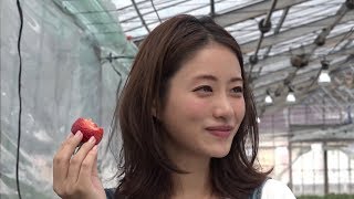 Satomi Ishihara 石原さとみ  Find my Tokyo Challenge 1543 [upl. by Ymmij]