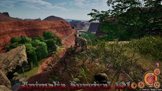 Animalia Survival 101 Basic Tutorial [upl. by Mala269]