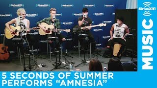 5 Seconds of Summer  quotAmnesiaquot Live  SiriusXM [upl. by Ybrek]