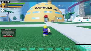 BudokaiZ  Roblox  2024 12 21 [upl. by Caves]