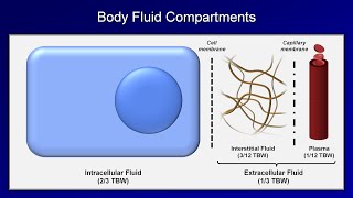 IV Fluids Lesson 1  Basic Principles [upl. by Kiona211]