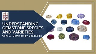 GemA Live Understanding Gemstone Species and Varieties [upl. by Ajam]