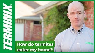 How Do Termites Enter the Home [upl. by Ennylyak]