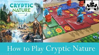 How to Play Cryptic Nature [upl. by Eremehc876]