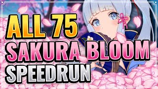 ALL 75 SAKURA BLOOM LOCATIONS DETAILED  EFFICIENT ROUTE Genshin Impact Farming Route Inazuma [upl. by Aerdua]