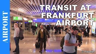 TRANSIT WALK AT FRANKFURT Airport FRA Terminal 1  Connection Flight Transfer Arriving amp Departing [upl. by Hannie]