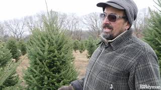 Tips for Cutting Down Your Own Christmas Tree [upl. by Hackathorn]