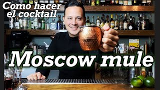 COCKTAIL MOSCOW MULE  TUTORIAL BARTENDER [upl. by Ahsenod]