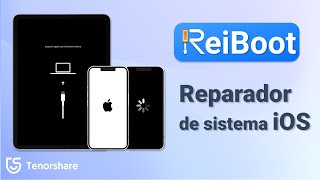 Cómo funciona ReiBoot reparar sistema iOS [upl. by Lammaj143]