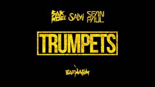 Sak Noel amp Salvi ft Sean Paul  Trumpets Official Audio [upl. by Areta]